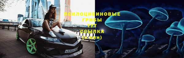 spice Армянск