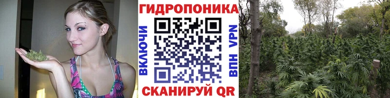 Каннабис семена  ссылка на мегу как зайти  Кунгур 